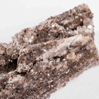 Fossilized Wood with Smoky Quartz