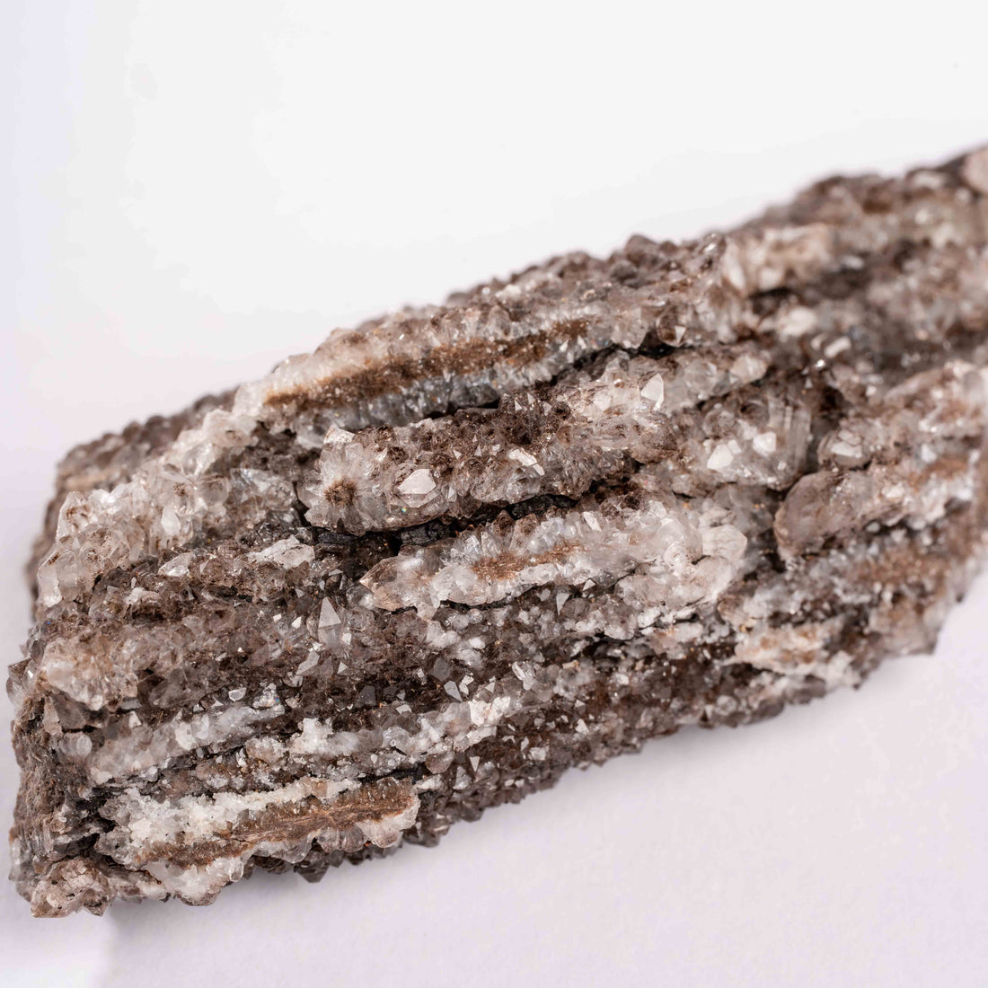 Fossilized Wood with Smoky Quartz