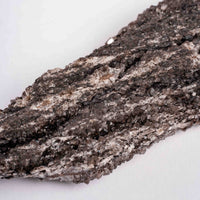Fossilized Wood with Smoky Quartz