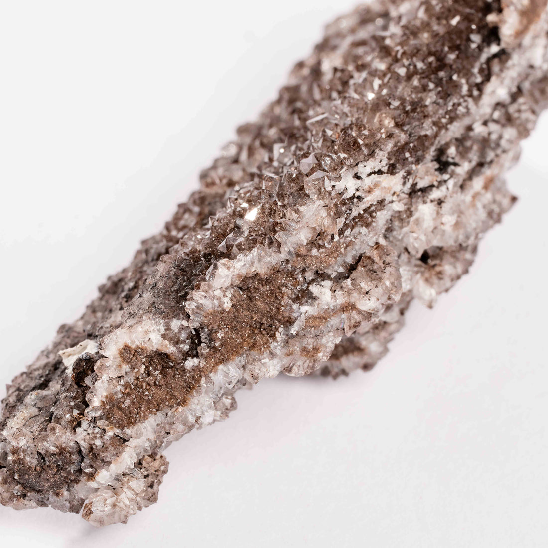 Fossilized Wood with Smoky Quartz