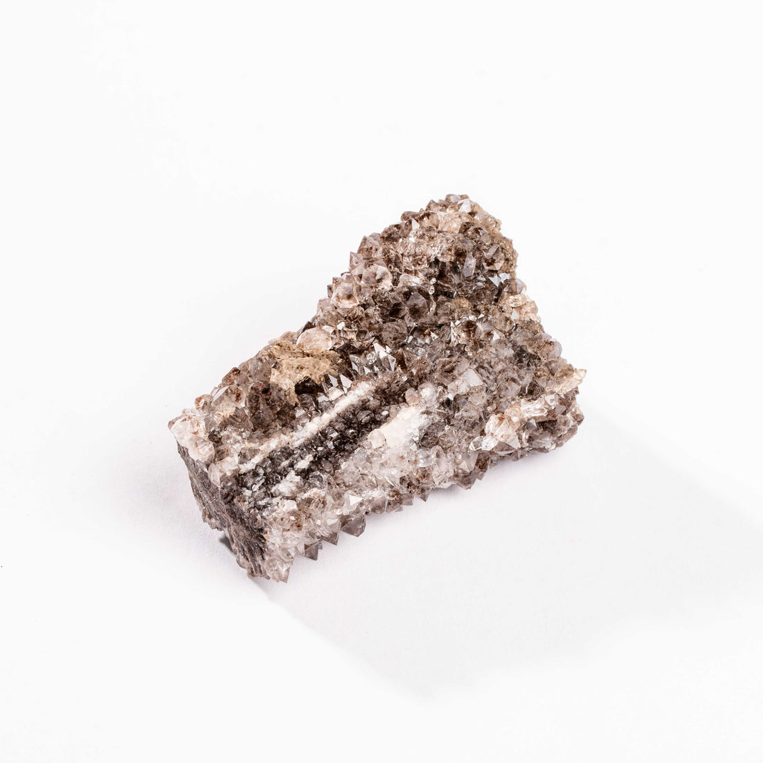 Fossilized Wood with Smoky Quartz