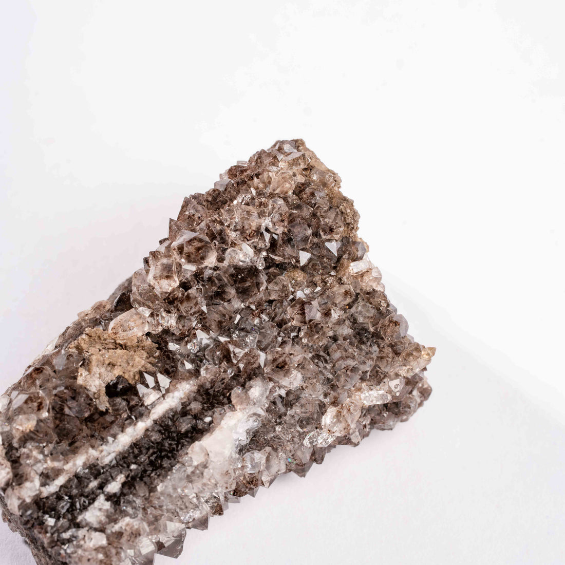 Fossilized Wood with Smoky Quartz