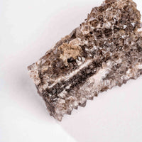 Fossilized Wood with Smoky Quartz