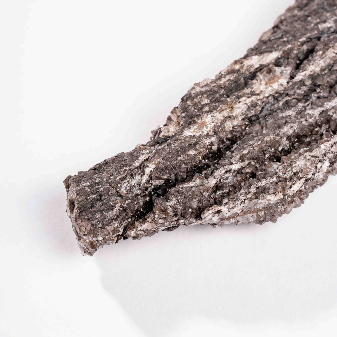 Fossilized Wood with Smoky Quartz