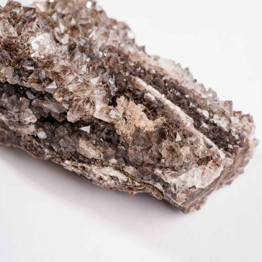 Fossilized Wood with Smoky Quartz