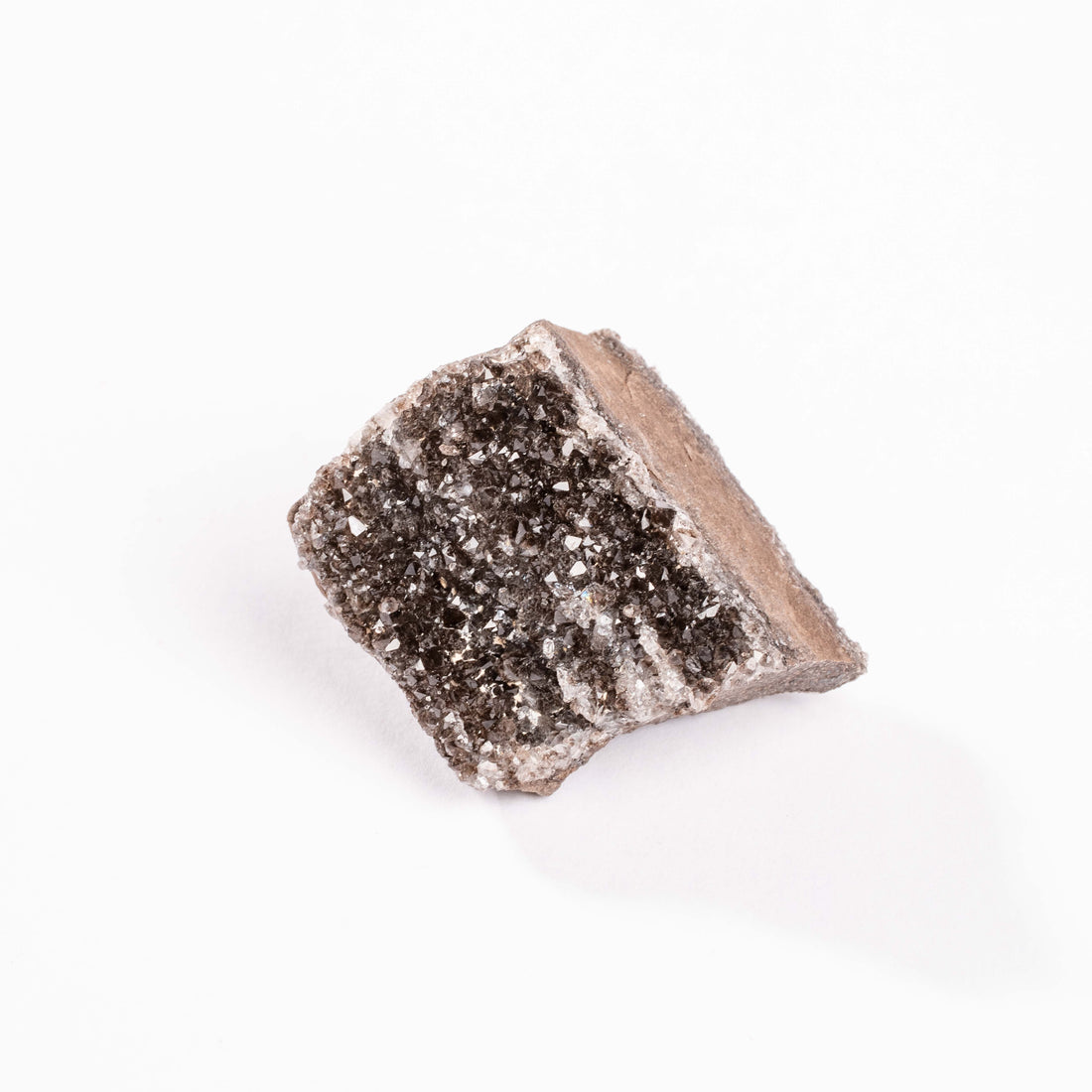Fossilized Wood with Smoky Quartz