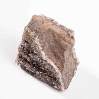 Fossilized Wood with Smoky Quartz