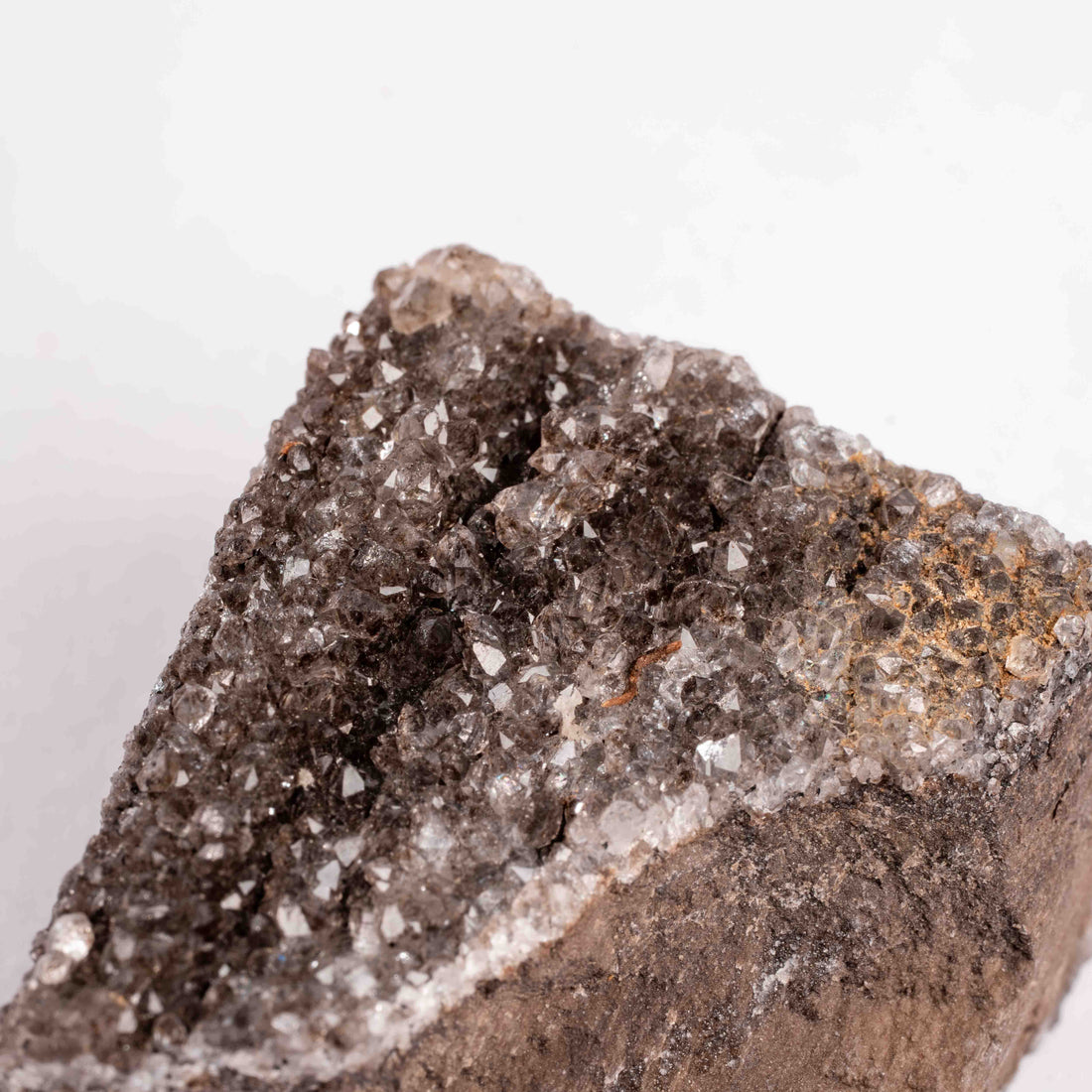 Fossilized Wood with Smoky Quartz