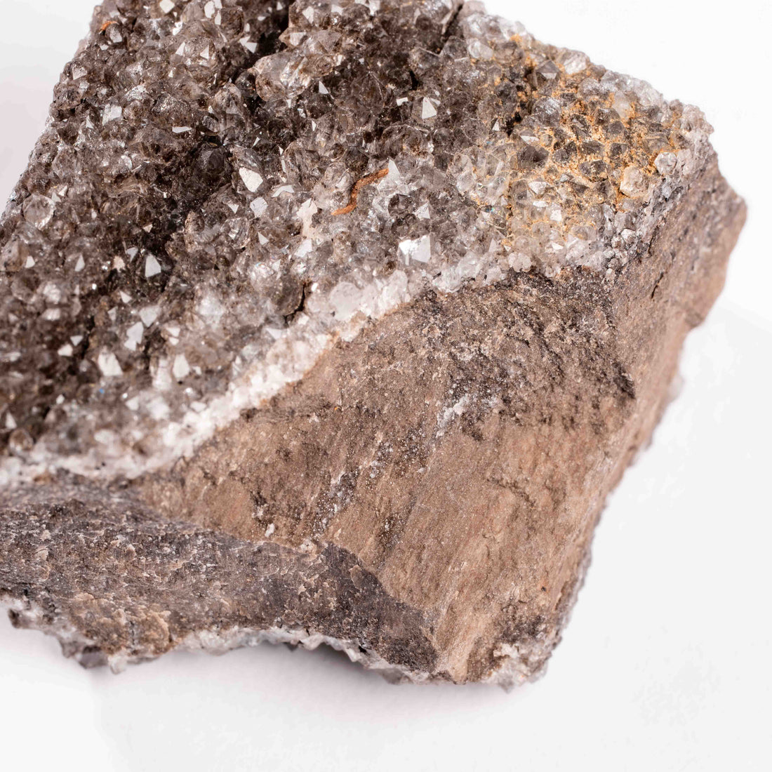 Fossilized Wood with Smoky Quartz
