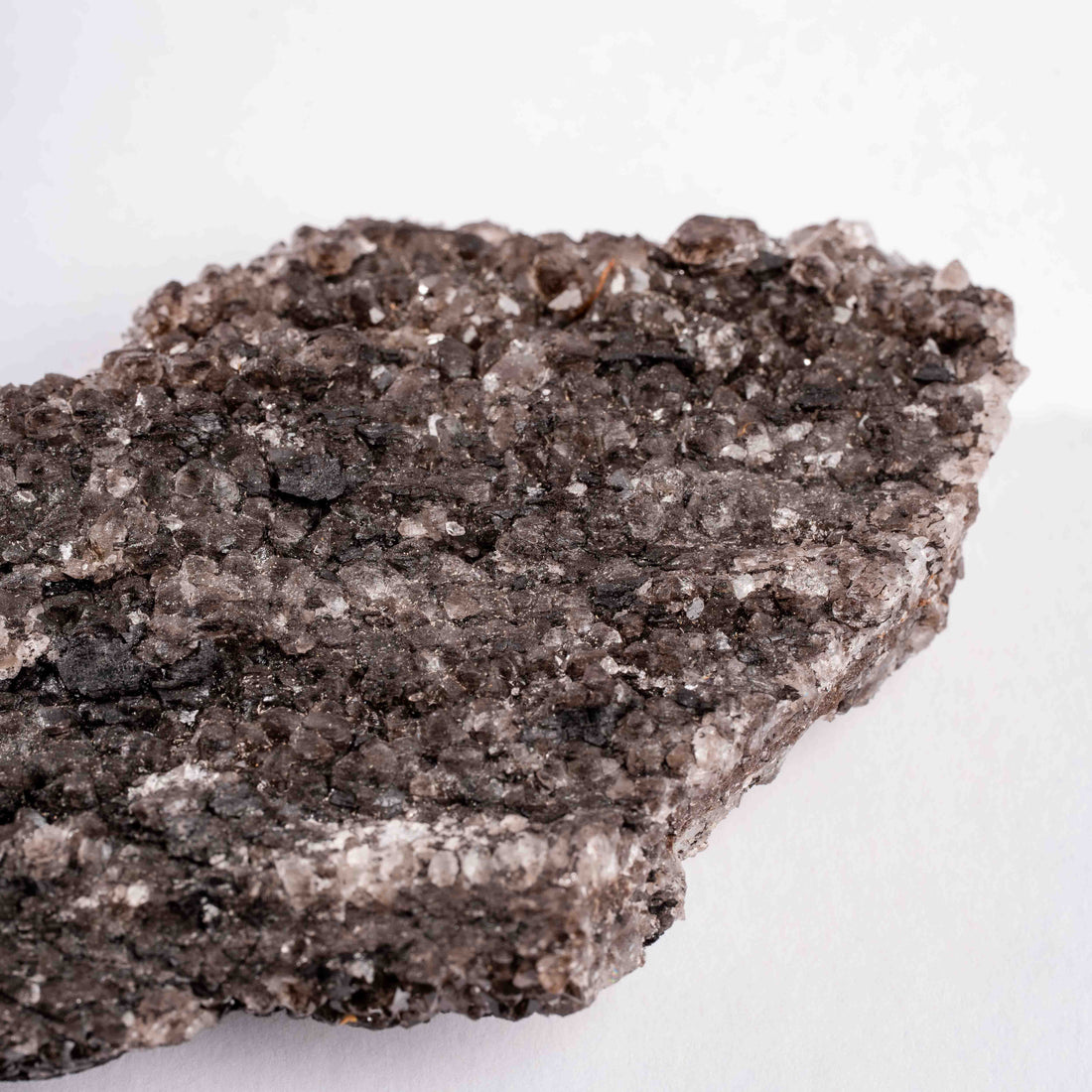 Fossilized Wood with Smoky Quartz