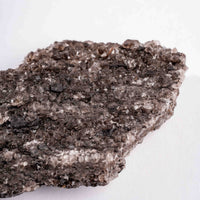 Fossilized Wood with Smoky Quartz