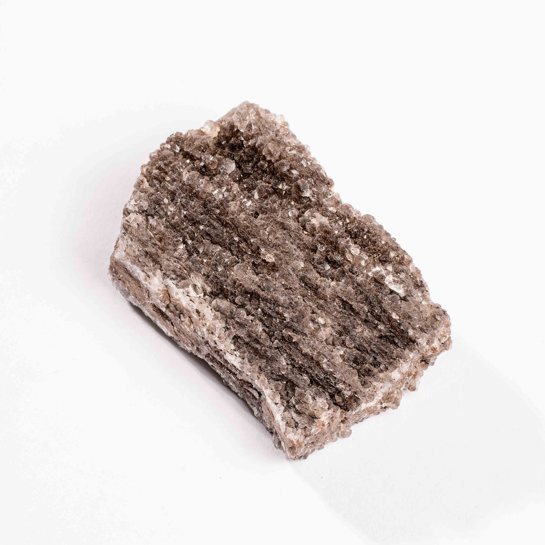 Fossilized Wood with Smoky Quartz
