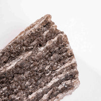 Fossilized Wood with Smoky Quartz