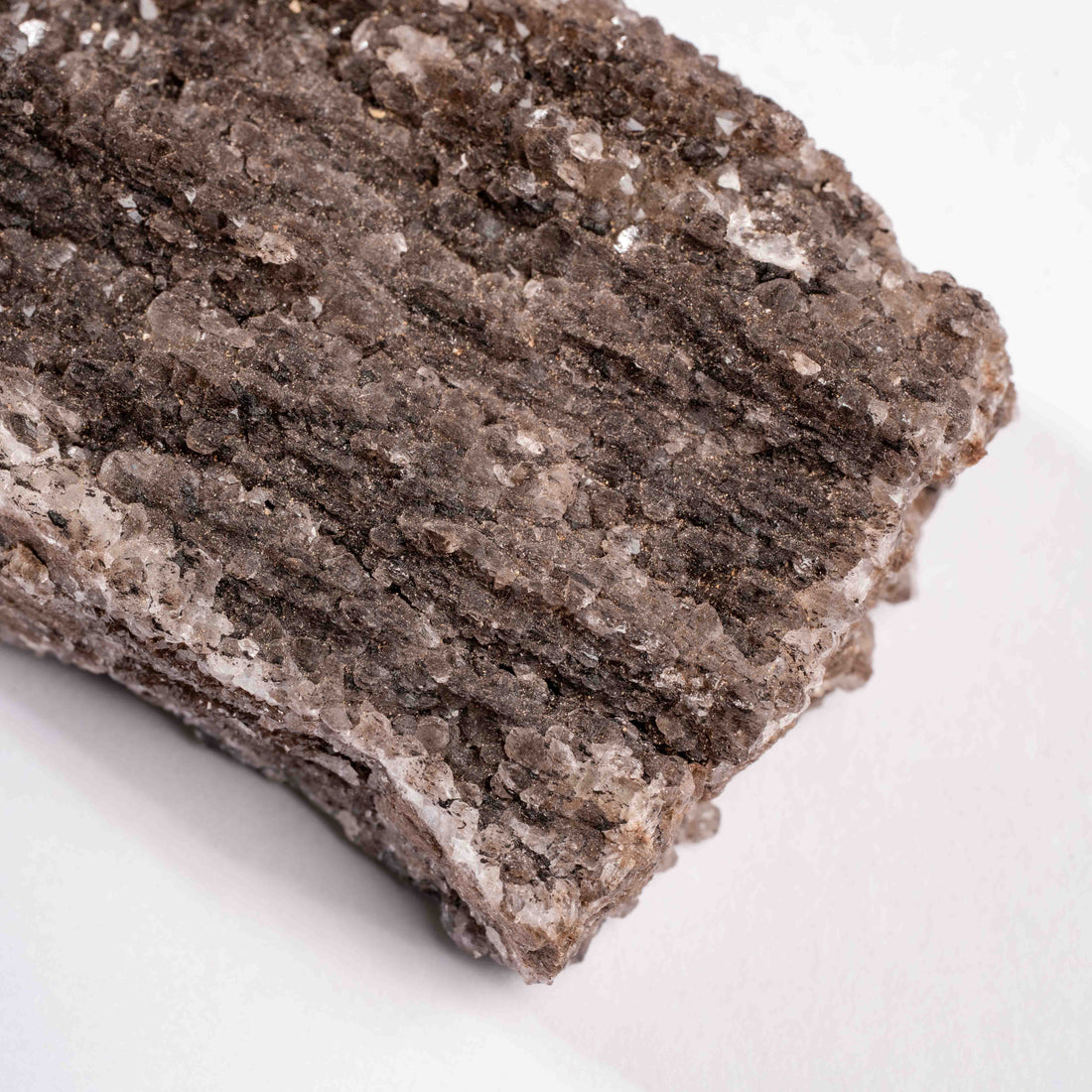 Fossilized Wood with Smoky Quartz