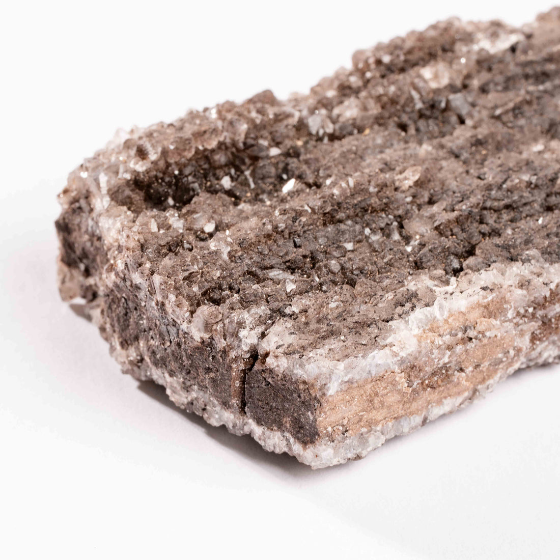 Fossilized Wood with Smoky Quartz