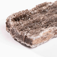 Fossilized Wood with Smoky Quartz