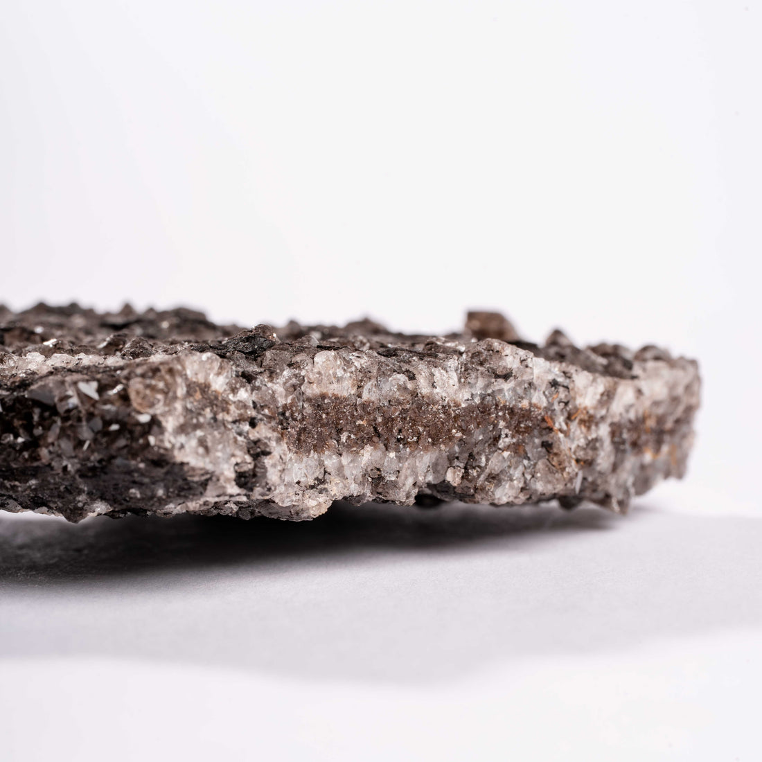 Fossilized Wood with Smoky Quartz
