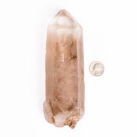 Quartz, Smoky Lemurian - Point