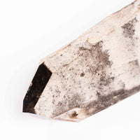 Quartz, Smoky Lemurian - Point