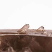 Quartz, Smoky Lemurian - Point