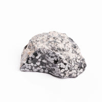 Obsidian - Snowflake Rough