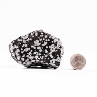 Obsidian - Snowflake Rough