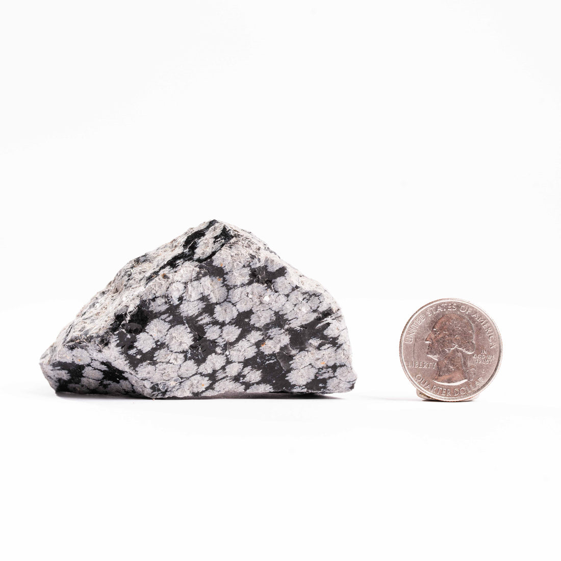 Obsidian - Snowflake Rough