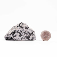 Obsidian - Snowflake Rough