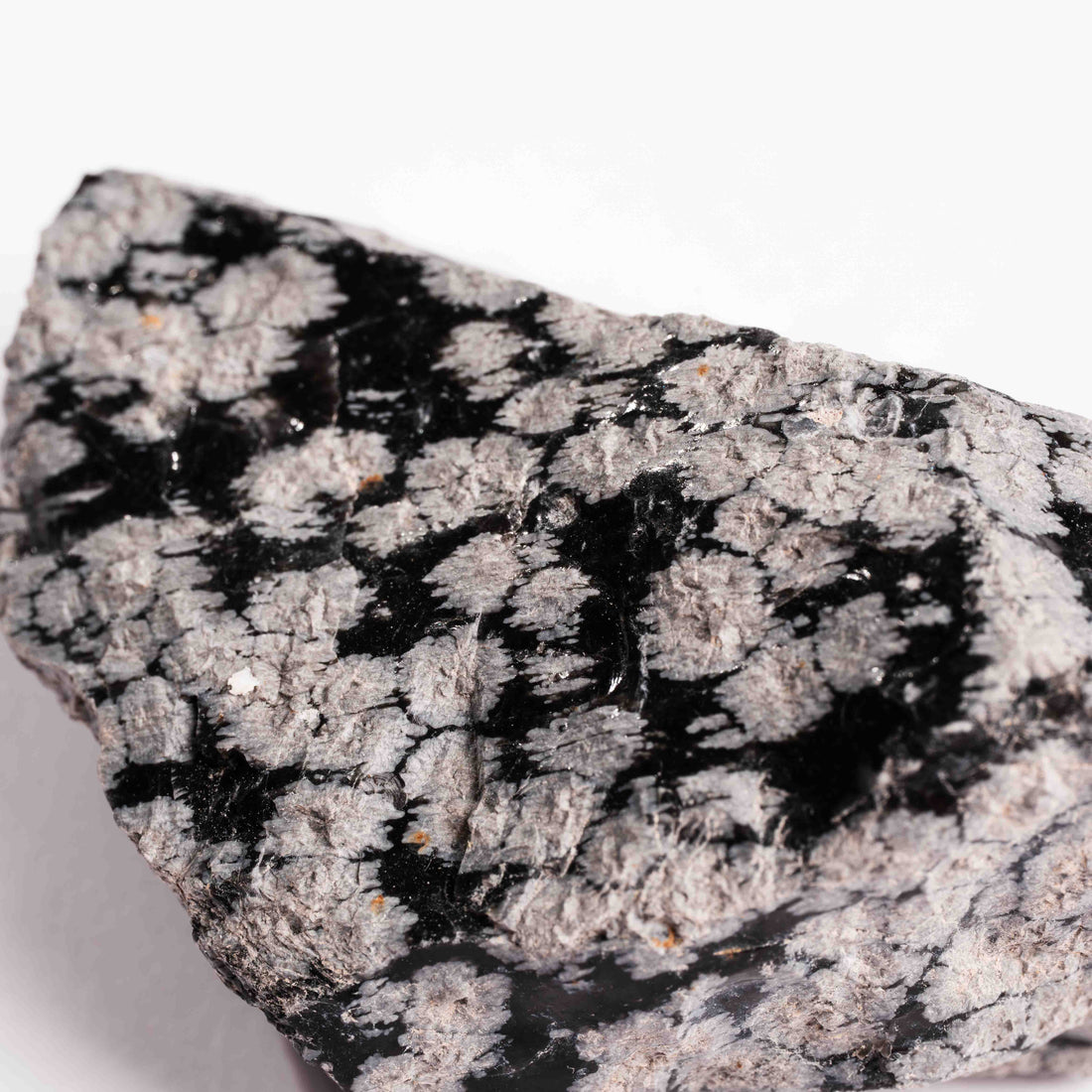 Obsidian - Snowflake Rough