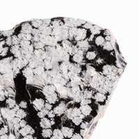Obsidian - Snowflake Rough