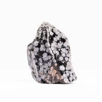Obsidian - Snowflake Rough
