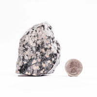 Obsidian - Snowflake Rough