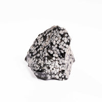Obsidian - Snowflake Rough