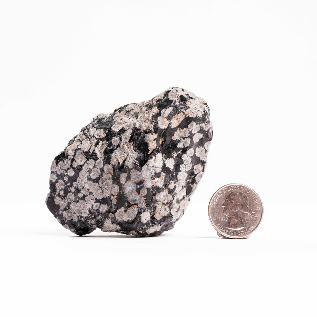 Obsidian - Snowflake Rough
