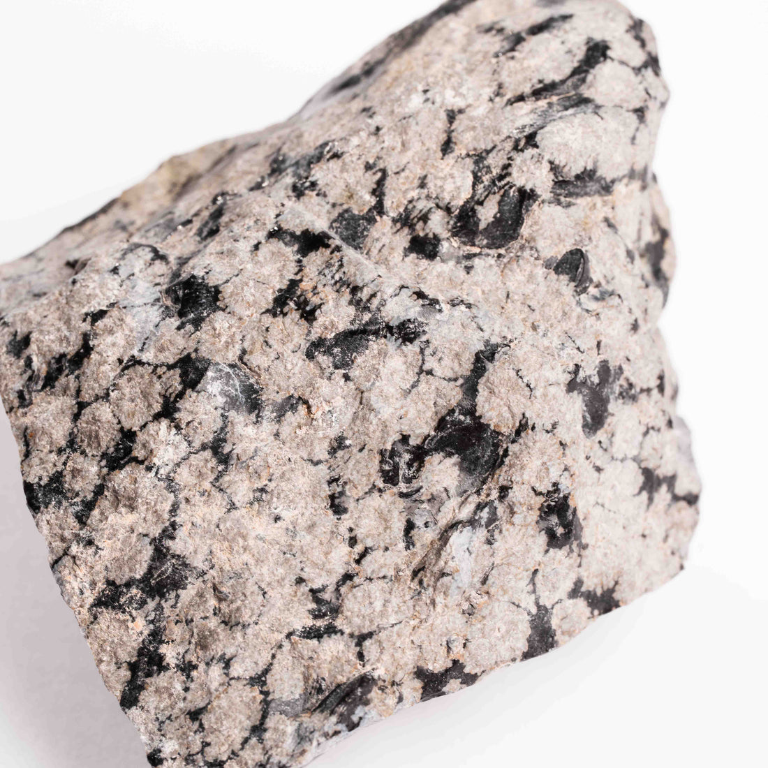 Obsidian - Snowflake Rough