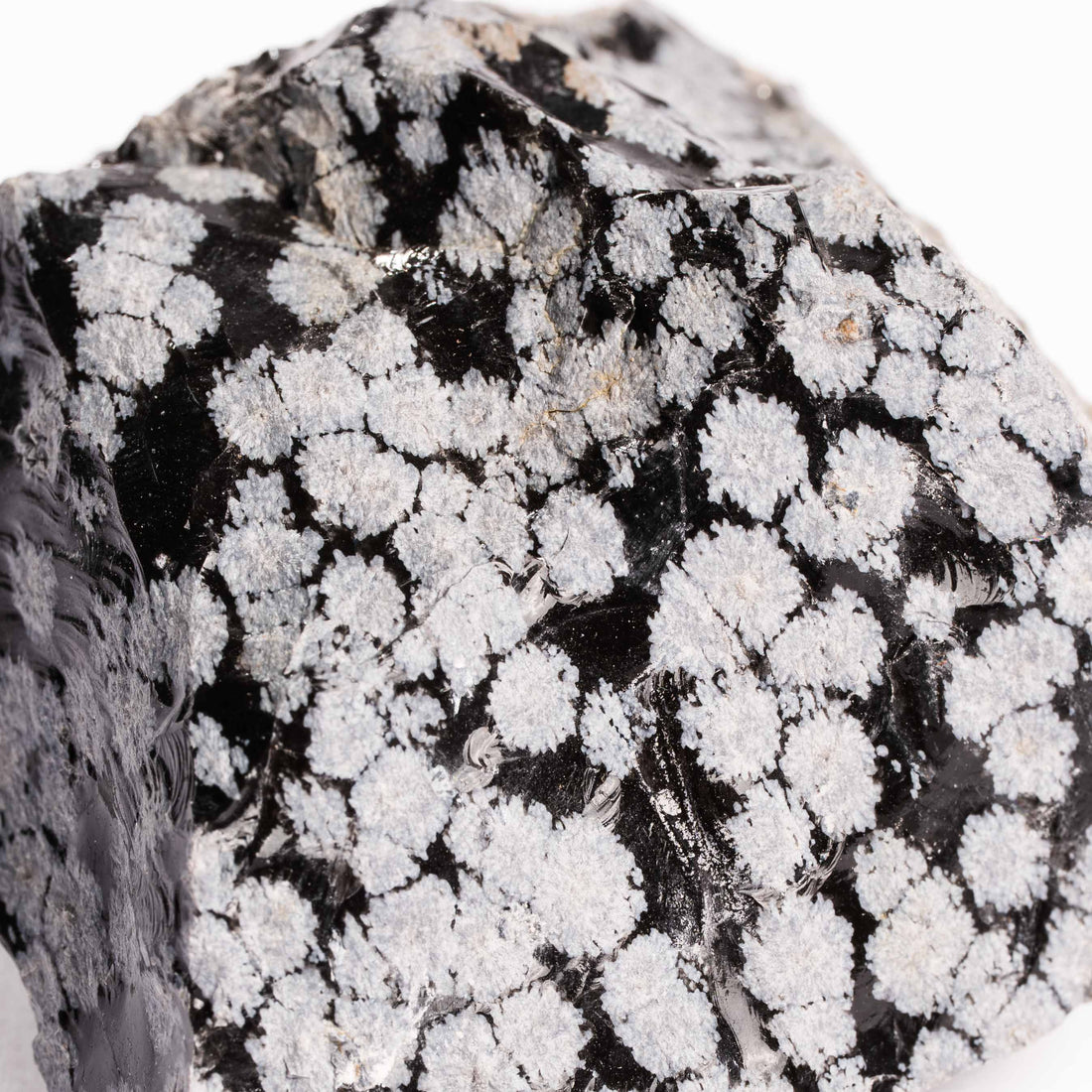 Obsidian - Snowflake Rough