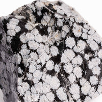 Obsidian - Snowflake Rough