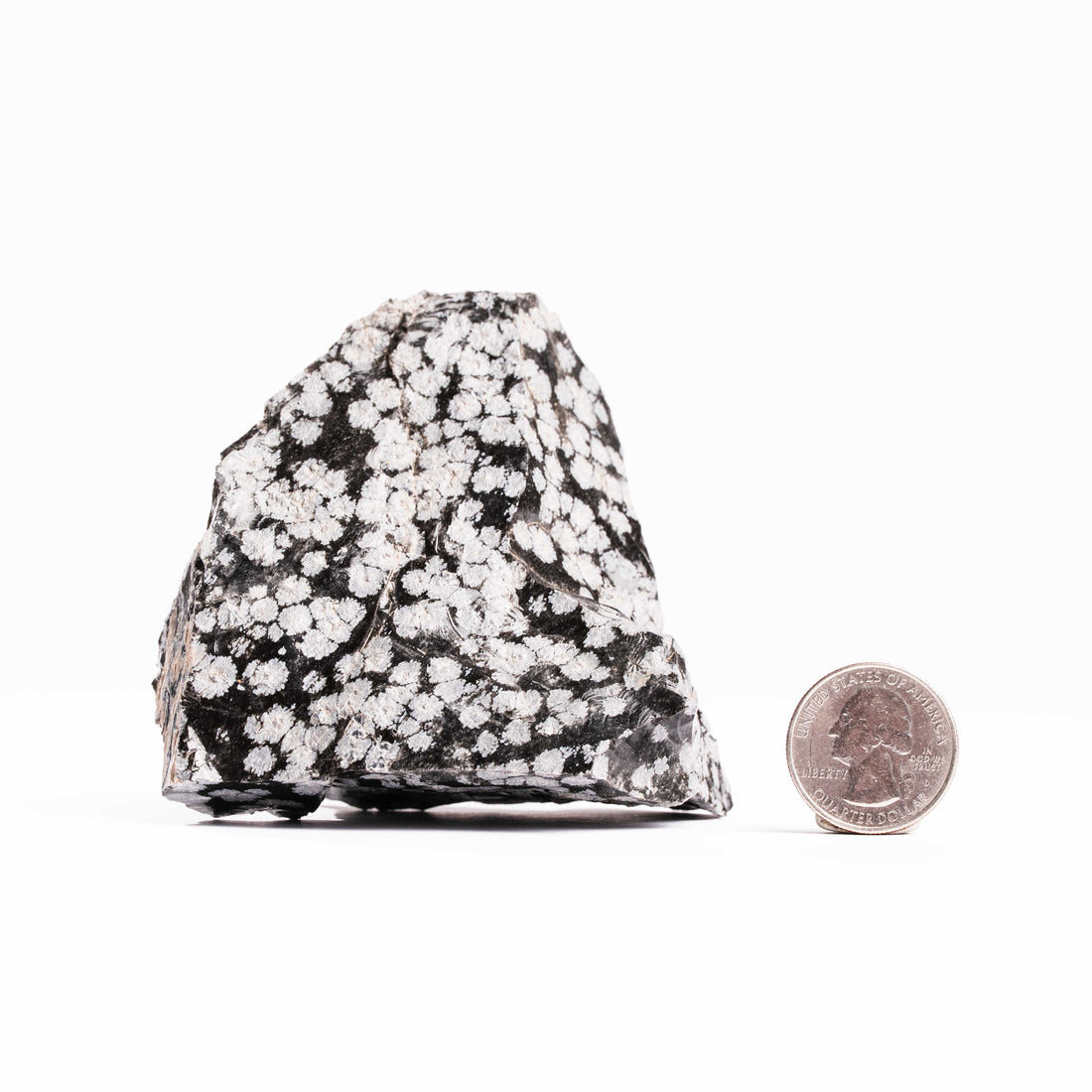 Obsidian - Snowflake Rough