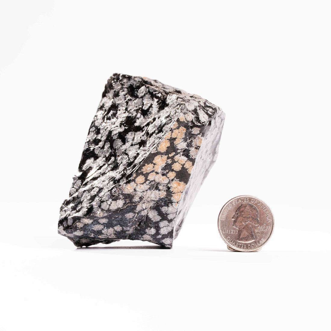 Obsidian - Snowflake Rough