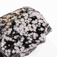 Obsidian - Snowflake Rough