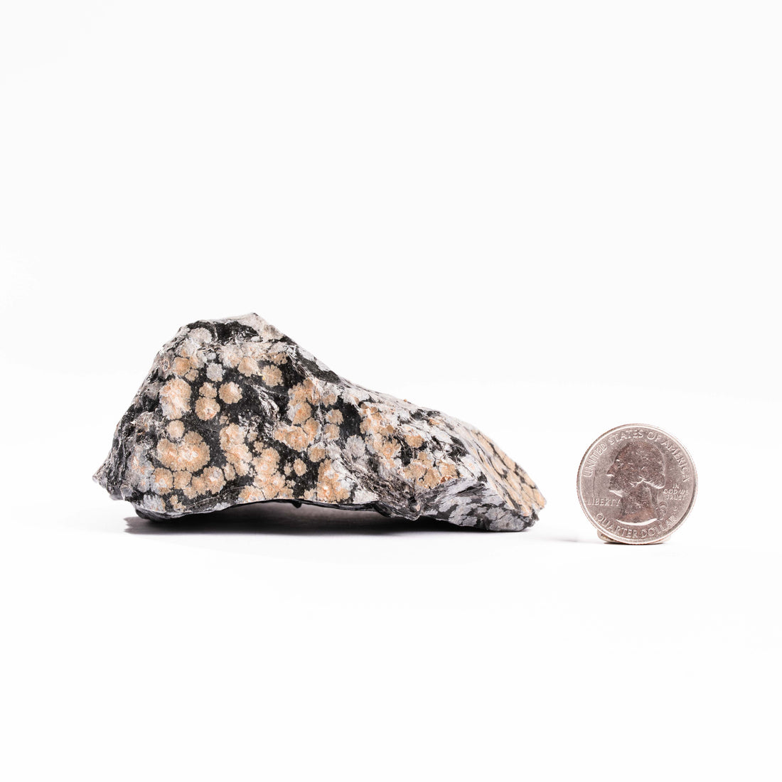 Obsidian - Snowflake Rough