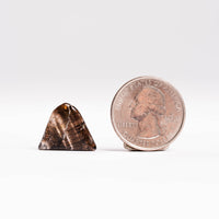 Super Seven Quartz, Polished - Earth Love Gallery Collection