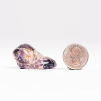 Super Seven Quartz, Polished - Earth Love Gallery Collection