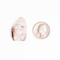 Super Seven Quartz, Polished - Earth Love Gallery Collection