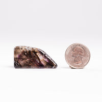 Super Seven Quartz, Polished - Earth Love Gallery Collection
