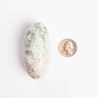 Jasper, Unicorn - Shiva