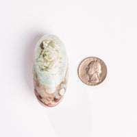 Jasper, Unicorn - Shiva