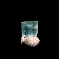 Beryl- Vanadium Rich