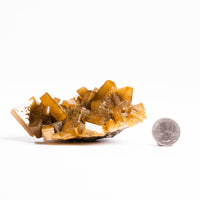 Yellow Barite on Fluorite - Bladed Cluster