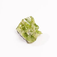 Peridot w/ Matrix - Rough